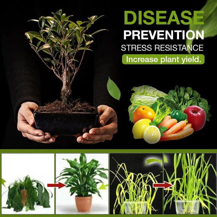 Quick Garden Restoration